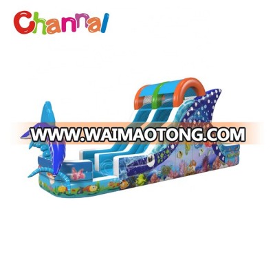 Lovely dolphin ocean world double pools kids inflatable water slide