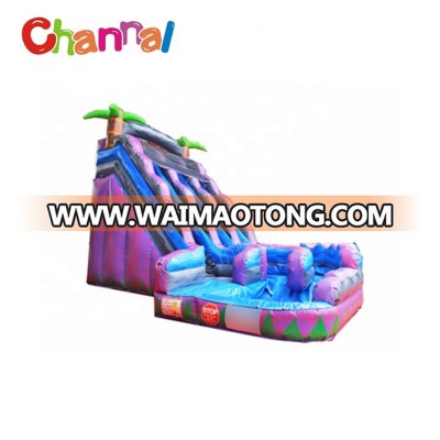 Large purple corkscrew double inflatable water slide for kids